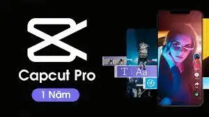 Tài khoản Capcut Pro 1 năm